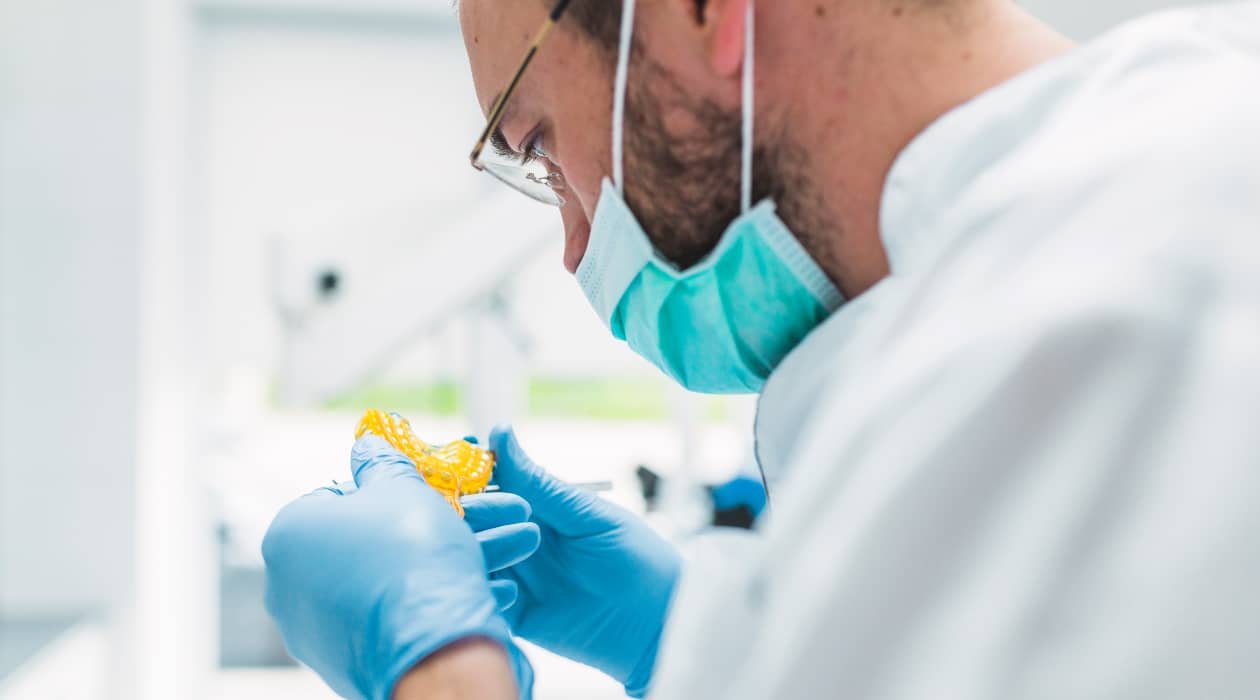 Técnico de prótesis dental dando soluciones odontológicas en un modelo, preparándose para una carrera en la creación y adaptación de prótesis dentales.